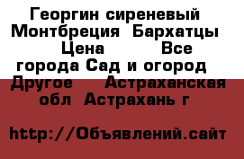 Георгин сиреневый. Монтбреция. Бархатцы.  › Цена ­ 100 - Все города Сад и огород » Другое   . Астраханская обл.,Астрахань г.